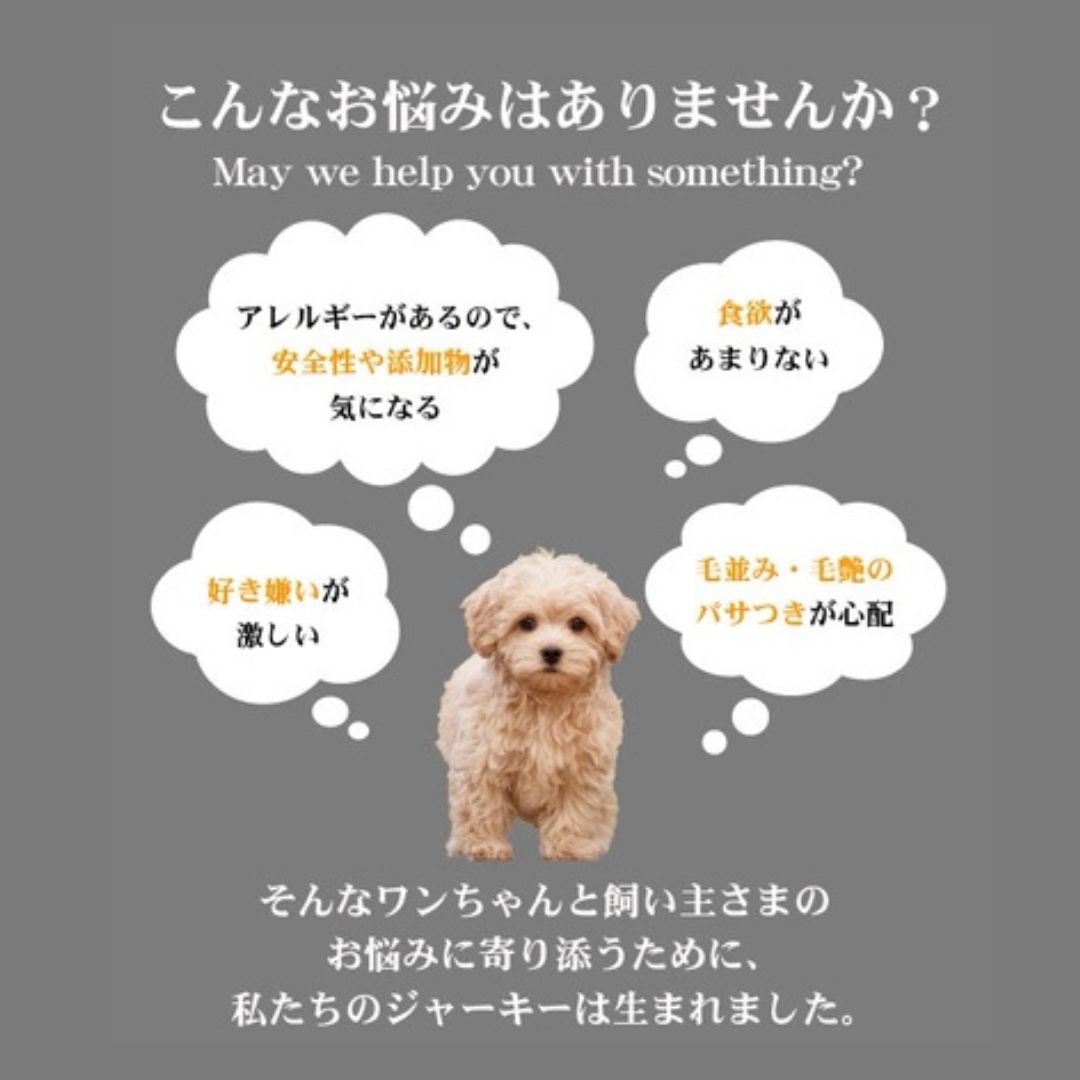 NaturalPetDeli 馬肉ジャーキー 60g