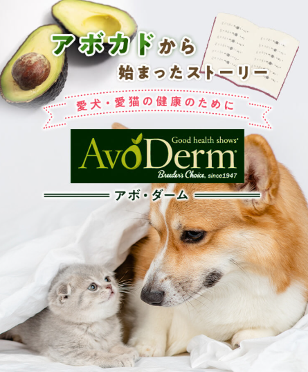 QIX アボ・ダーム オリジナルビーフ 小粒 80g