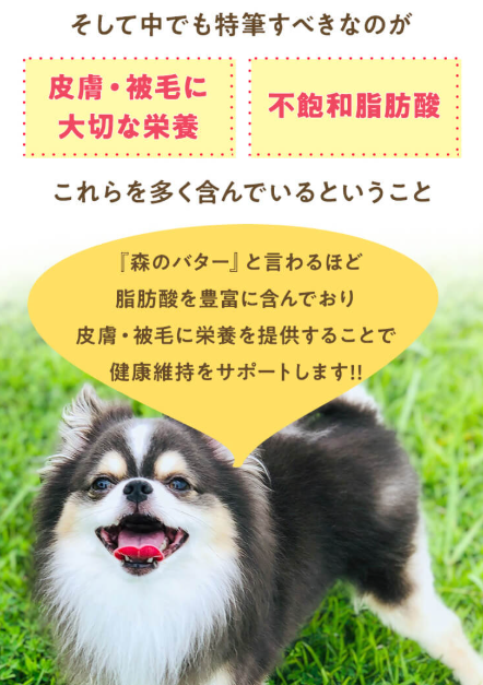 QIX アボ・ダーム オリジナルビーフ 小粒 80g