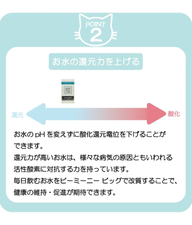 ビーミーニー 飲料水改質触媒 ビッグ キャット