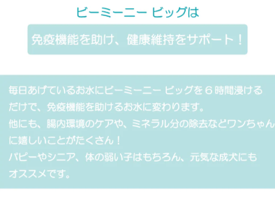 ビーミーニー  飲料水改質触媒 ビッグ ドッグ