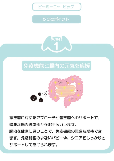 ビーミーニー  飲料水改質触媒 ビッグ ドッグ