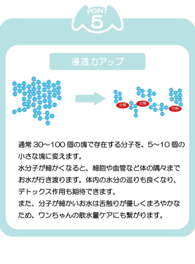 ビーミーニー  飲料水改質触媒 ビッグ ドッグ