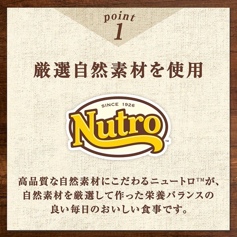ニュートロ シニア チキン＆ツナ ペースト 35g×12