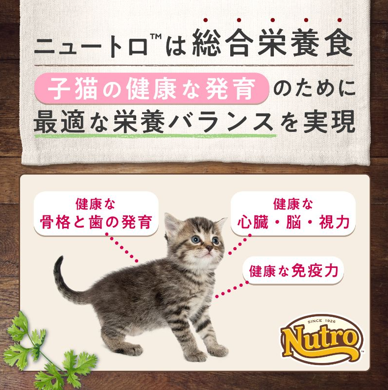 ニュートロ キャット ワイルド レシピ キトン チキン 子猫用 400g