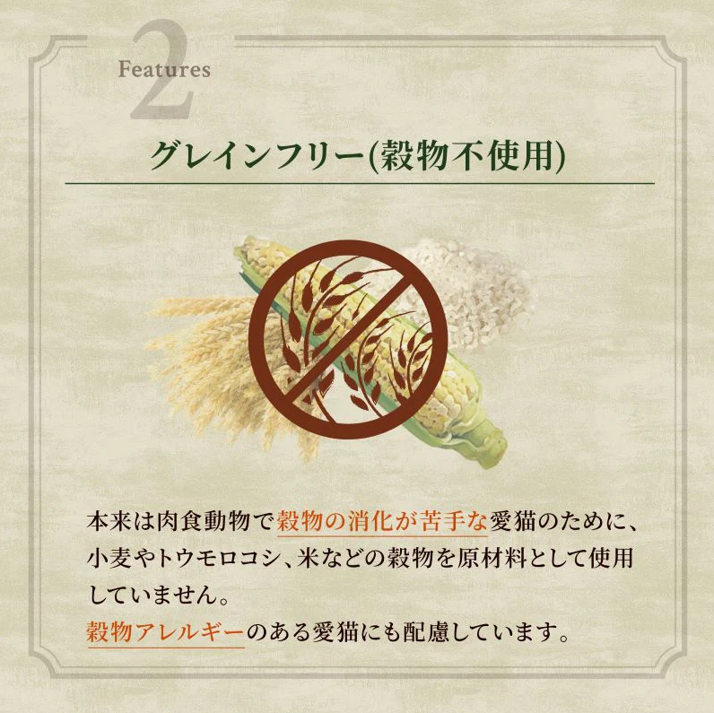 ニュートロ キャット ワイルド レシピ キトン チキン 子猫用 400g