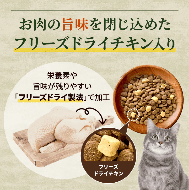 ニュートロ キャット ワイルド レシピ フリーズドライプラス アダルト サーモン 成猫用 1kg