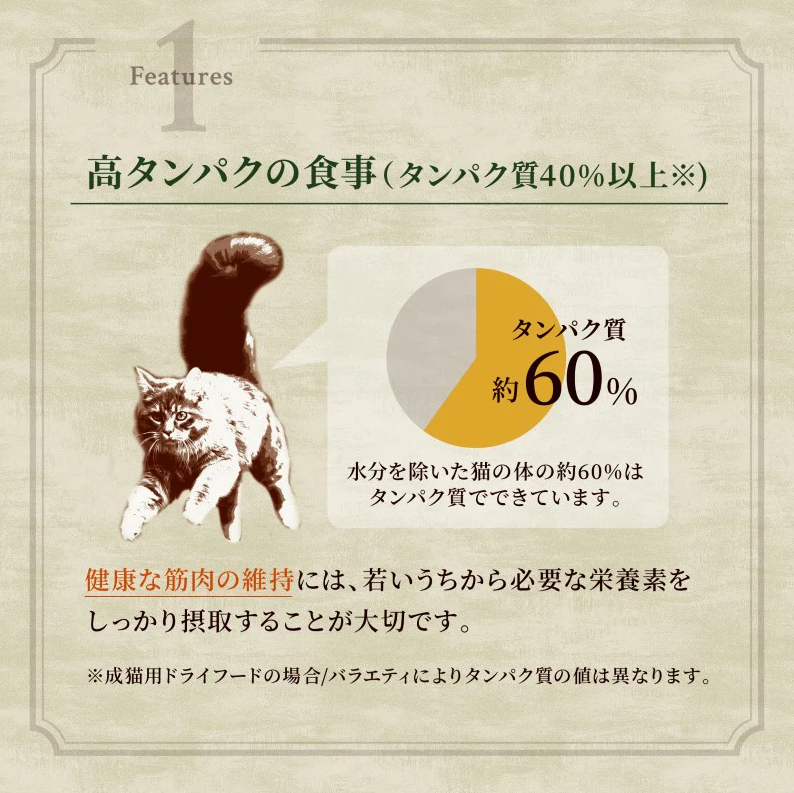 ニュートロ キャット ワイルド レシピ フリーズドライプラス アダルト サーモン 成猫用 1kg