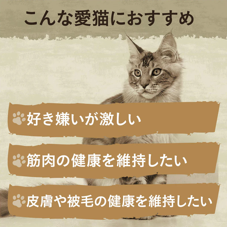 ニュートロ キャット ワイルド レシピ フリーズドライプラス アダルト サーモン 成猫用 1kg