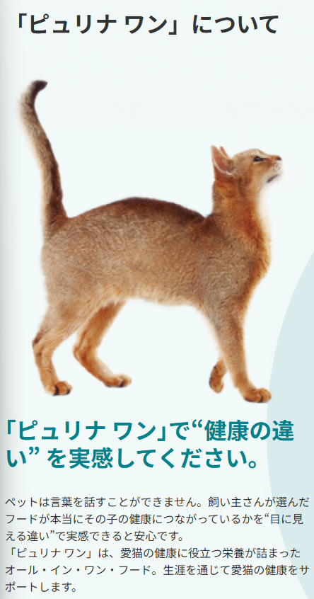 ネスレ ピュリナワン 無添加 子ねこ用 チキン 2㎏