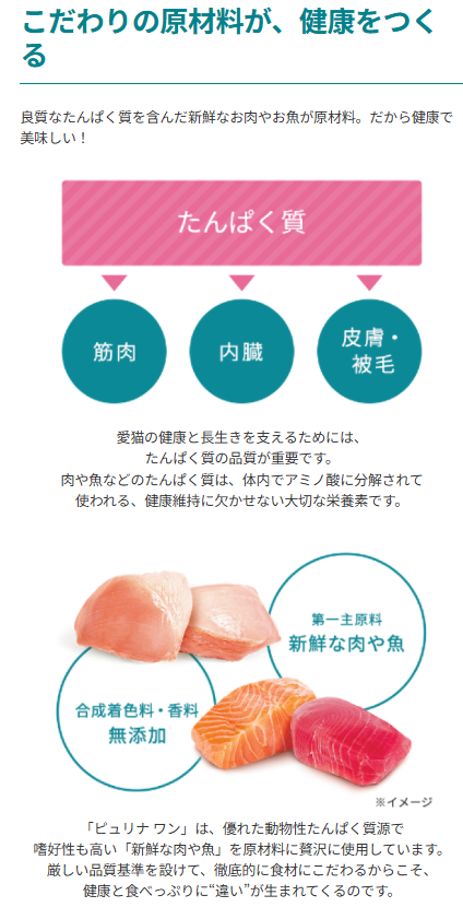 ネスレ ピュリナワン 無添加 子ねこ用 チキン 2㎏