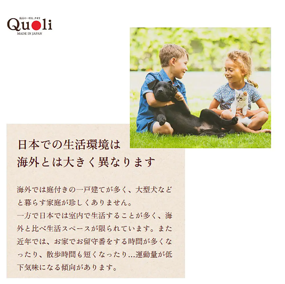 Quoli 食物アレルギーに配慮 成犬用 1歳以上 まぐろ 150g