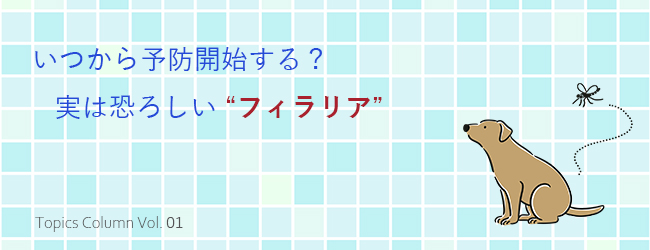 いつから予防開始する? 実は恐ろしい”フィラリア”