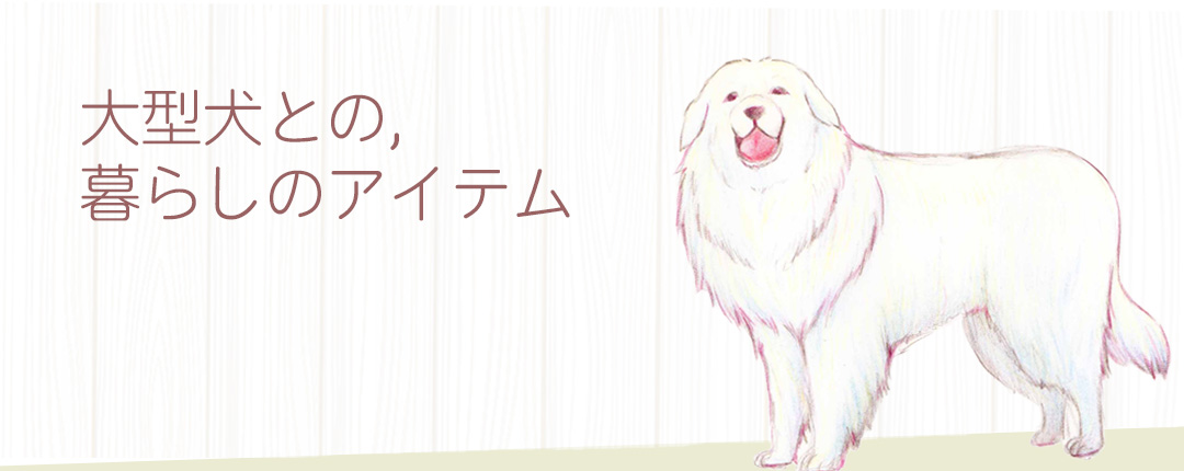 大型犬との暮らし