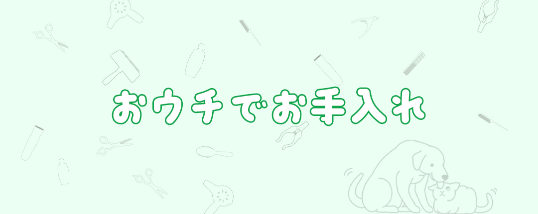 おウチでお手入れ