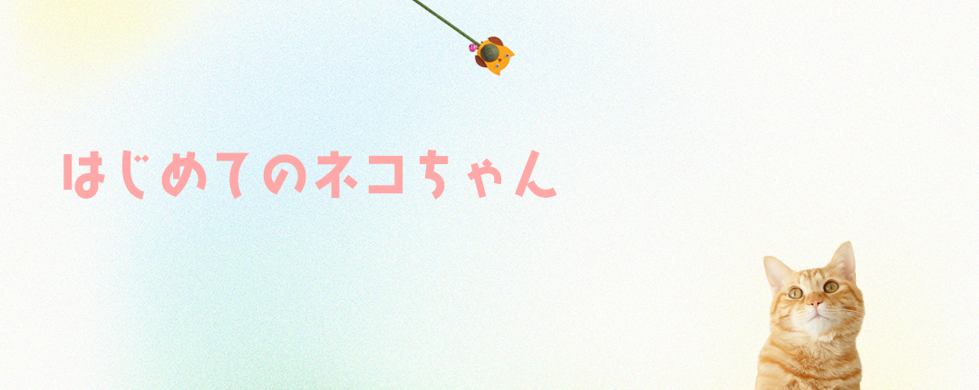 はじめてのネコちゃん