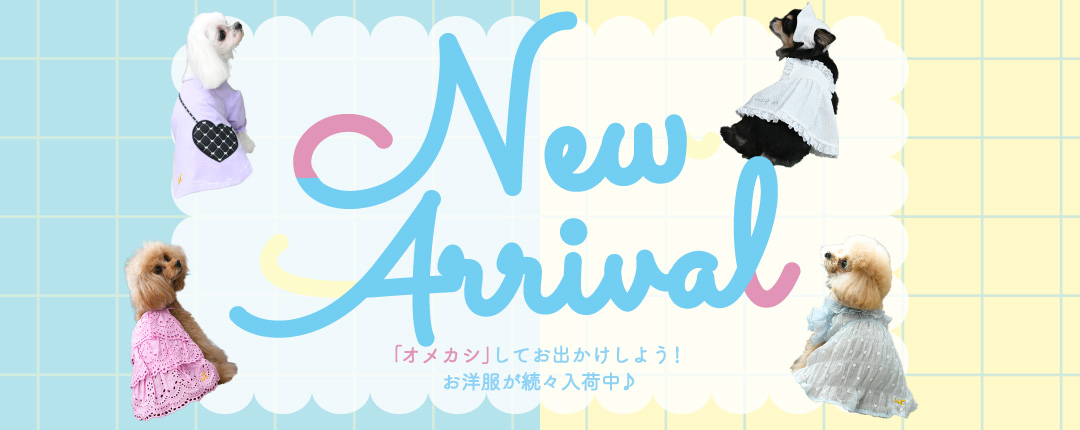 「おめかし」しておでかけしよう！新作の服が続々入荷中！