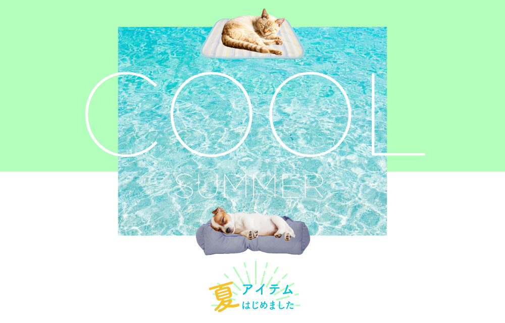 夏のCOOLアイテム特集