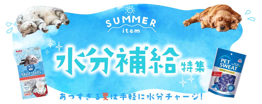 夏の水分補給特集
