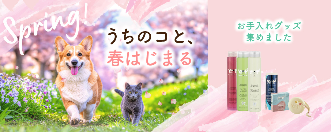 春のお手入れグッズ特集