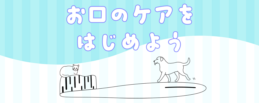 COO PREMIUM ONLINE｜お口のケアをはじめよう: