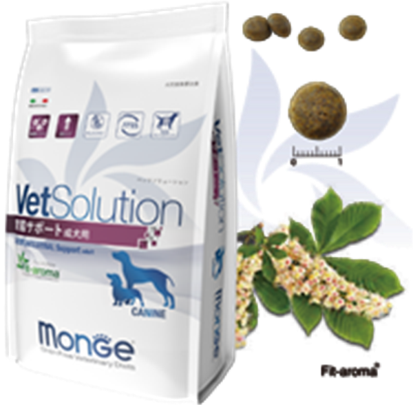 Monge VetSolution モンジ ベッツソリューション 胃腸サポート 成犬用