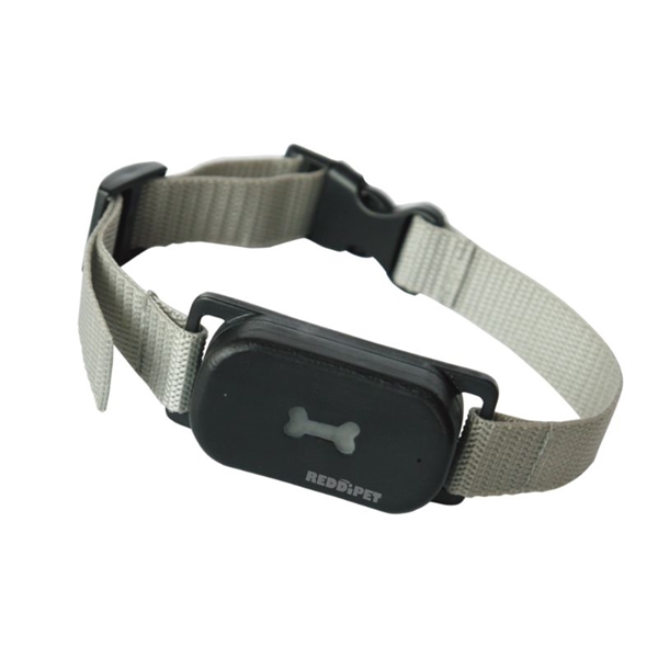 ファンタジーワールド ノーバーク カラー Lサイズ L