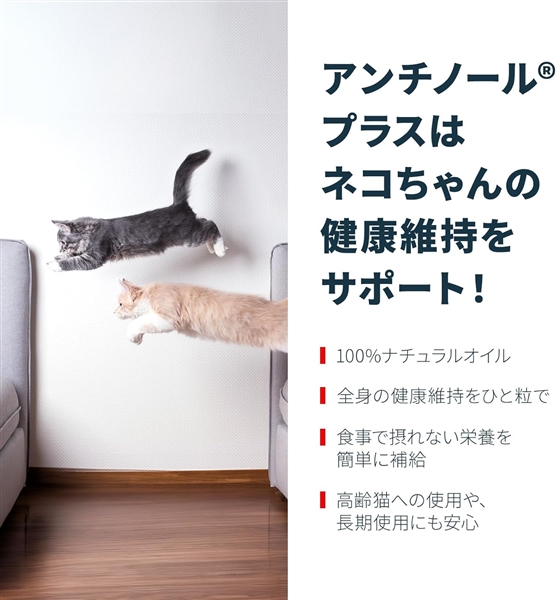 アンチノールプラス猫用 60粒