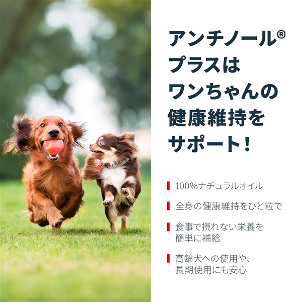 アンチノールプラス犬用 60粒