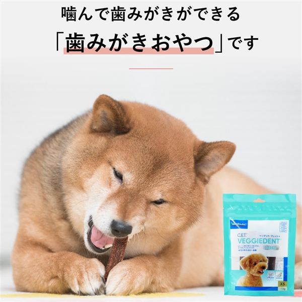 CET ベジデントフレッシュ S袋入