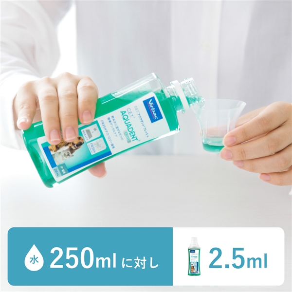 CET アクアデントフレッシュ 250ML