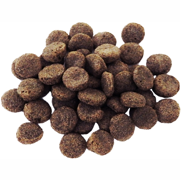 ライトハウス デンタルバイツ 犬用 60g
