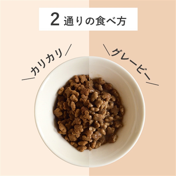 NOW FRESH ナウ フレッシュ グッドグレービー スモールブリード ゲージフリーチキン 小粒 800g