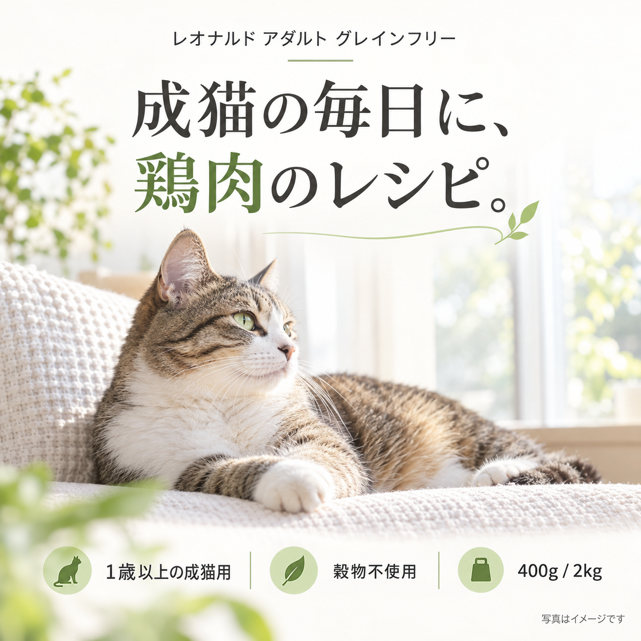 レオナルド アダルト グレインフリー 2kg｜成猫用ドライフード