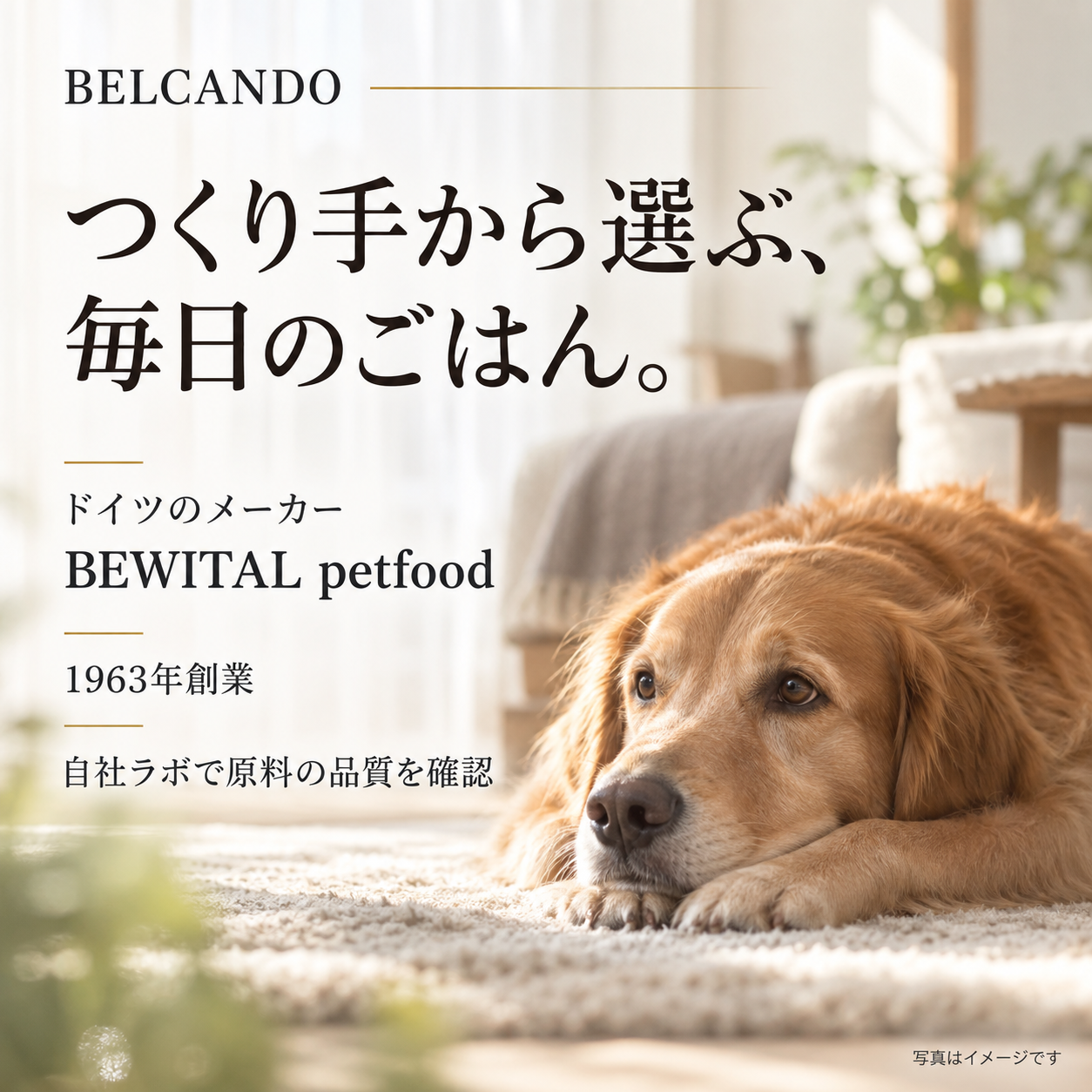 BELCANDO・BEWITAL メーカー紹介(写真はイメージです)