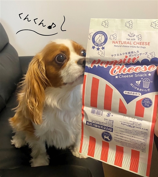 ポッピンチーズ プレーン 21g入り 1袋 1袋