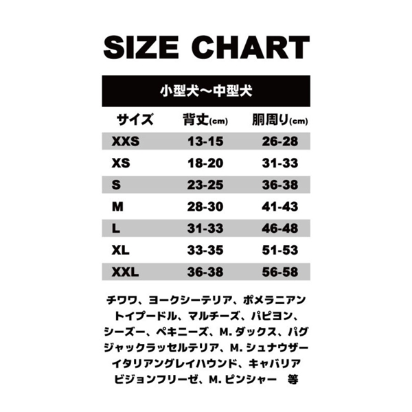 DOGGY DOLLY L 10枚おまかせ アソートセット