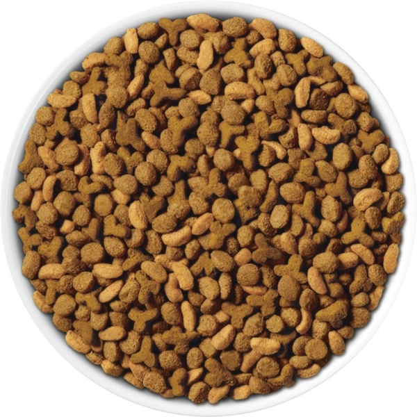 ピュリナワン キャット ドライ 高たんぱく 適正な体重を維持 チキン 1.6kg (400g×4袋)