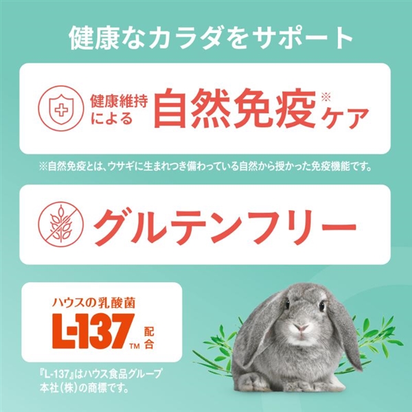 ラビジョン ラビットフード 5歳からのシニア 580g