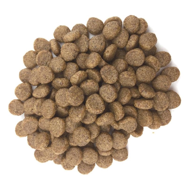 森乳サンワールド スーパーゴールド プラス フィッシュ&ポテト 低アレルゲン 関節の健康に配慮 800g 800g