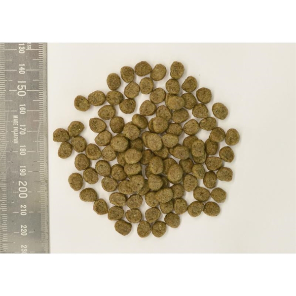 森乳サンワールド スーパーゴールド プラス フィッシュ&ポテト 低アレルゲン 関節の健康に配慮 7.5kg 7.5kg