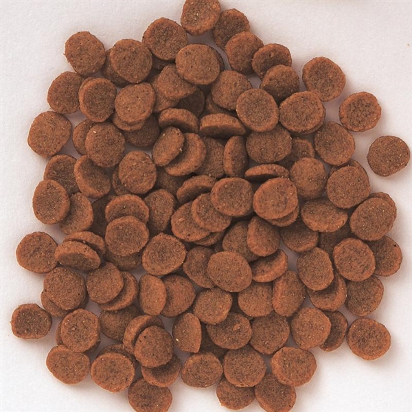 森乳サンワールド スーパーゴールド フィッシュ&ポテト 低アレルゲン 子犬・成犬用 800g 800g