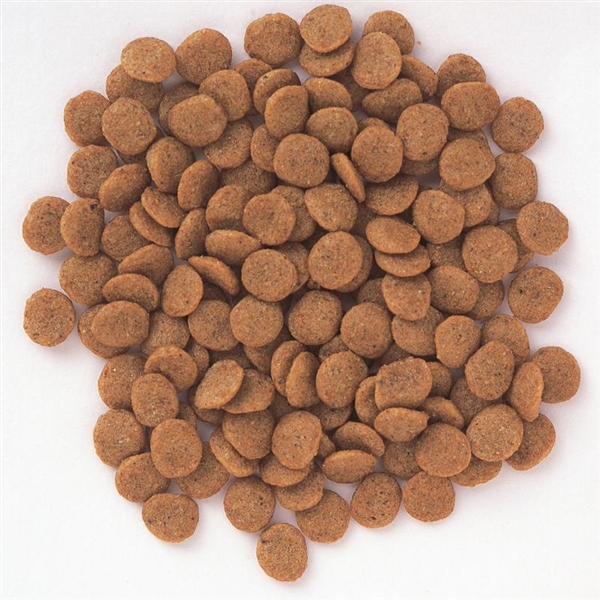 森乳サンワールド スーパーゴールド フィッシュ&ポテト シニアライト 低アレルゲン 2.4kg 2.4kg