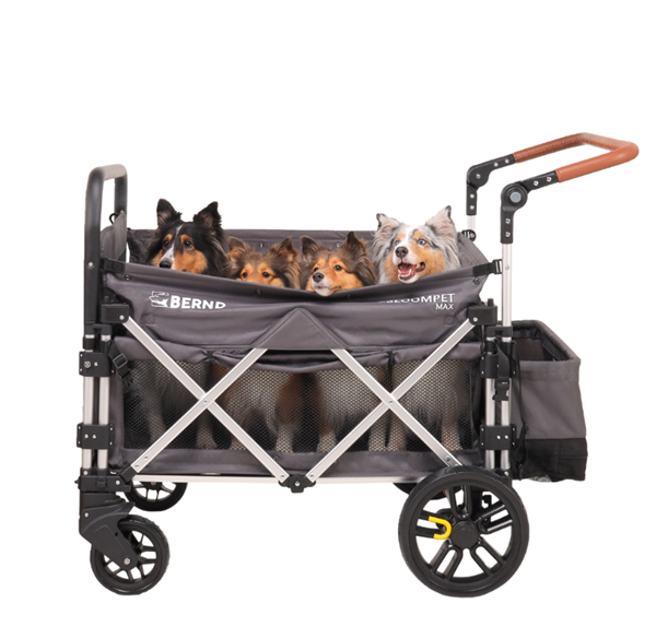 Bernd Bloom Max (ブラック)