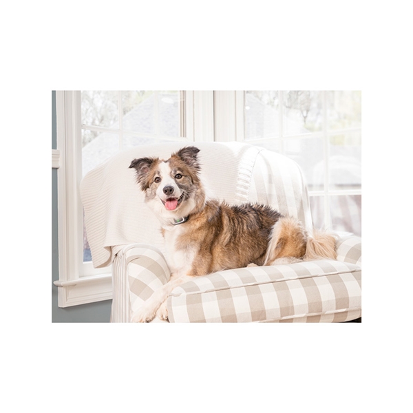 レンジャース スプレーバークコントロール