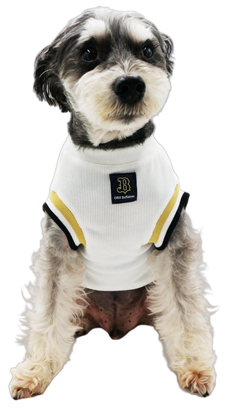 オリックス承認野球Tシャツ2 ホワイト M M