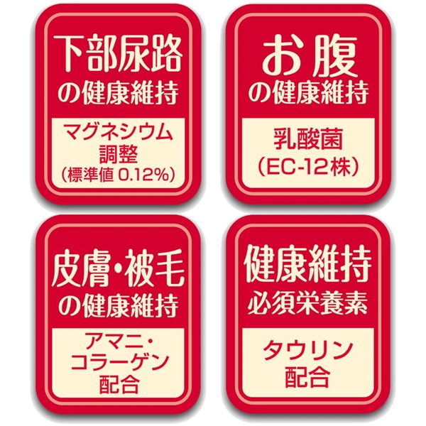 プラクト キャット ドライフード 幼猫~成猫用 チキン味 540g