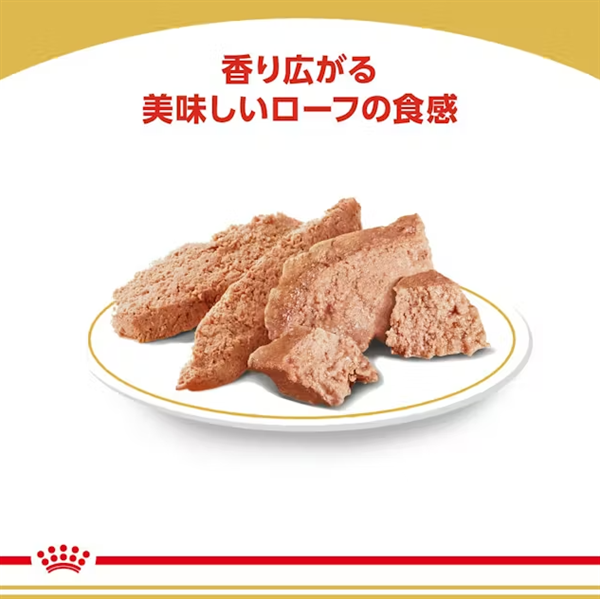 ロイヤルカナン チワワ ウェット 成犬~高齢犬用 85g×12袋入 (1ボール)