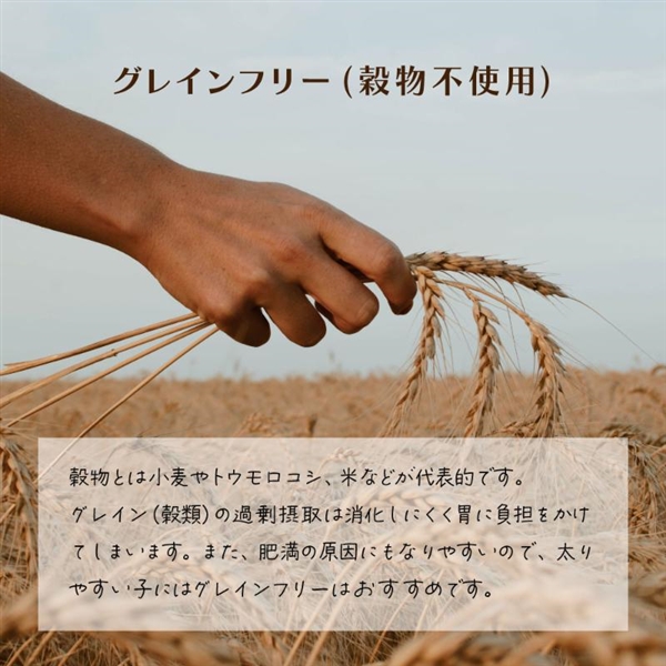 シグネチャー7 ツナ&ボーンヘルス (火) 80g