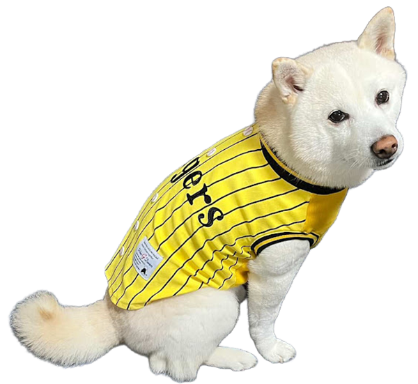 タイガース承認野球Tシャツ3 イエロー 3L 3L